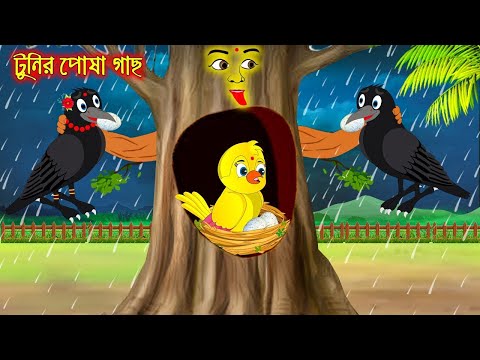 টুনির পোষা গাছ | Tunir Posa Gach | Bangla Cartoon | Bangla Cartoon | Thakurmar Jhuli | Pakhir Golpo