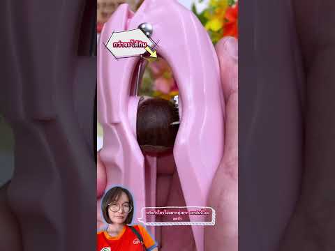 วิธีการพาลูกเกาลัดด้วยฝาขวดพลาสติก #ไอเดีย #diy #ของใช้ในครัวเรือน