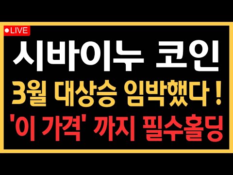 시바이누 코인 - 3월 대상승 임박했다! '이 가격' 까지 필수홀딩!