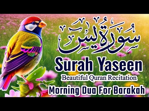 Surah Yasin (Yaseen) || سورہ یس 36 || Surah Yasin Full 7th Time || Morning Dua For Barakah || EP-032