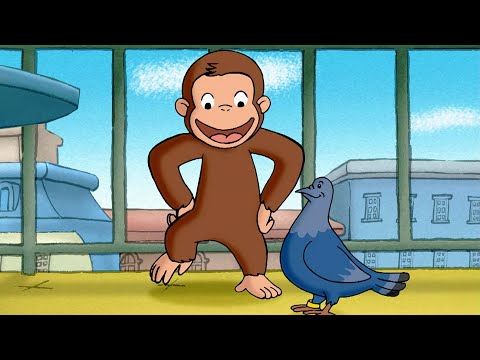 George, o Macaco Pombo!| George, o Curioso | Desenhos Animados em Português