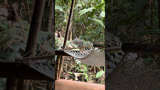 VACATIONS IN COSTA RICA - COLINA SECRETA