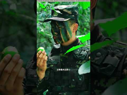 দেখুন আর্মি গুলা কিভবে পোকামাকড় খাচ্ছে😅||army eting video||😅#shorts #shortsviral #facts #army #fyp