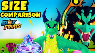 Blox Fruits Size Comparison! Dragon Update 🐲