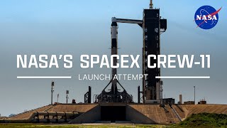 NASA's SpaceX Crew-11 Launch (July 31, 2025 Attempt)