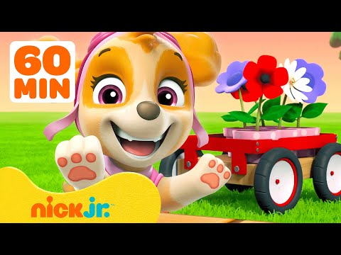PAW Patrol Pups Grow Plants & Flowers! w/ Skye #4 🌱 60 Minutes | Nick Jr.