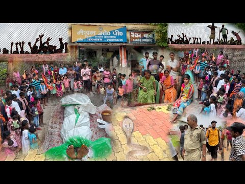 स्कूल में सफाई के दौरान 2 खतरनाक जहरीले सांप ने युवक को डस लिया घरवालों पर पड़ा दुखों का पहाड़।