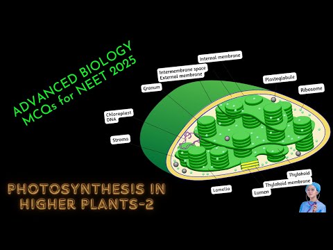 ADVANCED BIOLOGY MCQs for NEET 2025 | Photosynthesis in Higher Plants | by Shiksha House