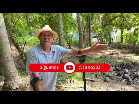 BONITOS LOTES EN san LUIS TALPA LA PAZ  A MÁS BAJO PRECIO😱💵💰$50k negociable