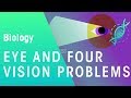 Understanding the Video Tutorial