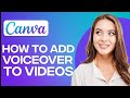 Canva Features and Functions