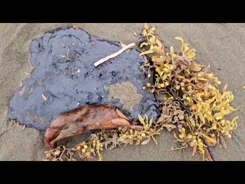 YouTube video thumbnail: Mexican Navy Says Tanker, Seabed Likely Caused Gulf oil Spill