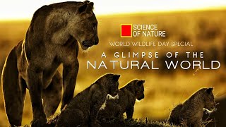 A Glimpse of the Natural World - World Wildlife Day Special