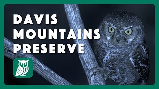 A Night at Davis Mountains Preserve: Postcard From Texas