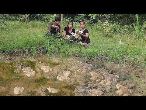 Catch frog and Pick mushroom plant for survival food, Cooking frog with Mushroom for dinner