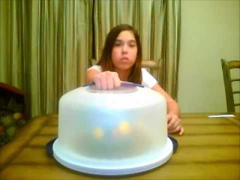 Wilton cake decorating class course 2 final week cake-...