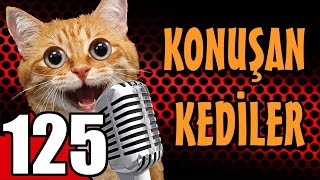 Konuşan Kediler 125 - En Komik Kedi Videoları