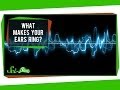 Understanding Tinnitus