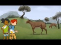 Evolution and Characteristics of Horses