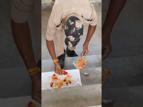 😱ये भी जीव ही हैं😱😭🙏#humanity #respect #rat #helping #sad #trending #viralvideo #youtubeshorts 😭🙏