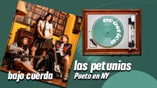 Bajo cuerda | Las Petunias - Poeta en NY (acústico)