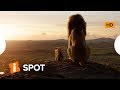 Trailer 4 do filme The Lion King