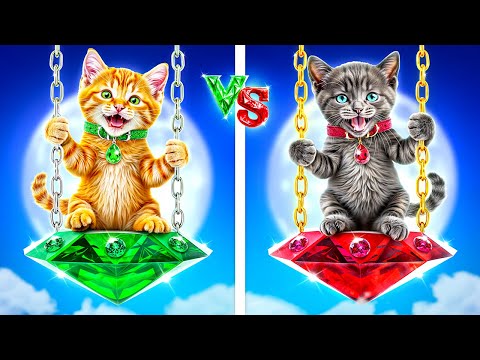 Cara Membuat Kamar Rahasia Untuk Anak-Anak Kucing! Kucing Rubi Vs Kucing Zamrud!