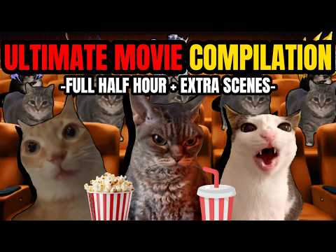 Cat MEMES: ULTIMATE MOVIE COMPILATION FULL HALF HOUR
