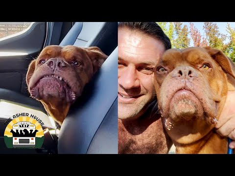 It was love at first sight for me. Her....not so much! | The Asher House