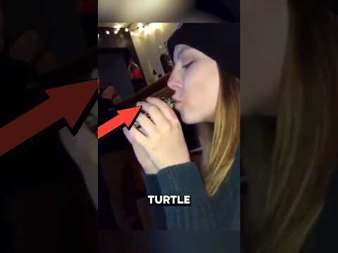 This turtle can bite you too! 😱
