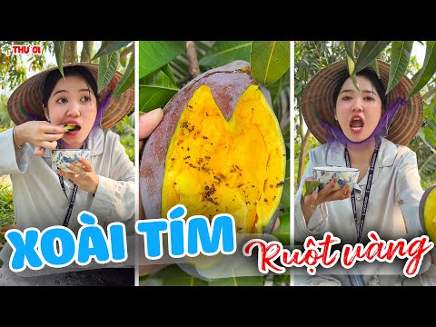 Thư Báo Mukbang Xoài Tím Ruột Vàng Tại Gốc Cây Và Cái Kết | Thư Ơi