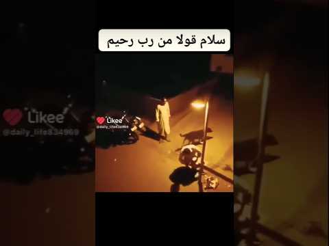 ركز علىالكلب 🐕كيف تحول #اليمن #اكسبلورFocus on the dog, how it transformed#Yemen#Explore #دويتو#رعب