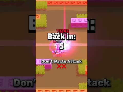 Rank 30 Bibi Guide