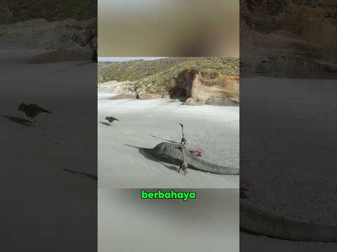 Pertarungan Terakhir Dinosaurus. #shorts