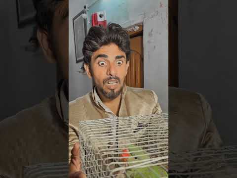 बोलने वाला तोता 🦜🥺#shortsfeed #emotional #viralvideo #motivational #parrot #motivation
