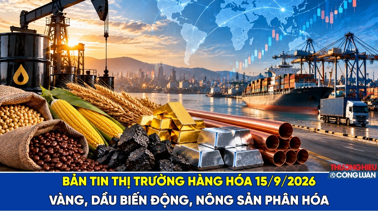 Bản tin thị trường hàng hóa 15/9/2026: Vàng, dầu biến động, nông sản phân hóa