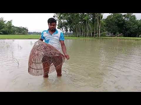 Real Amazing Big Sheat Fish Hunting | Best Polo Fishing #1million