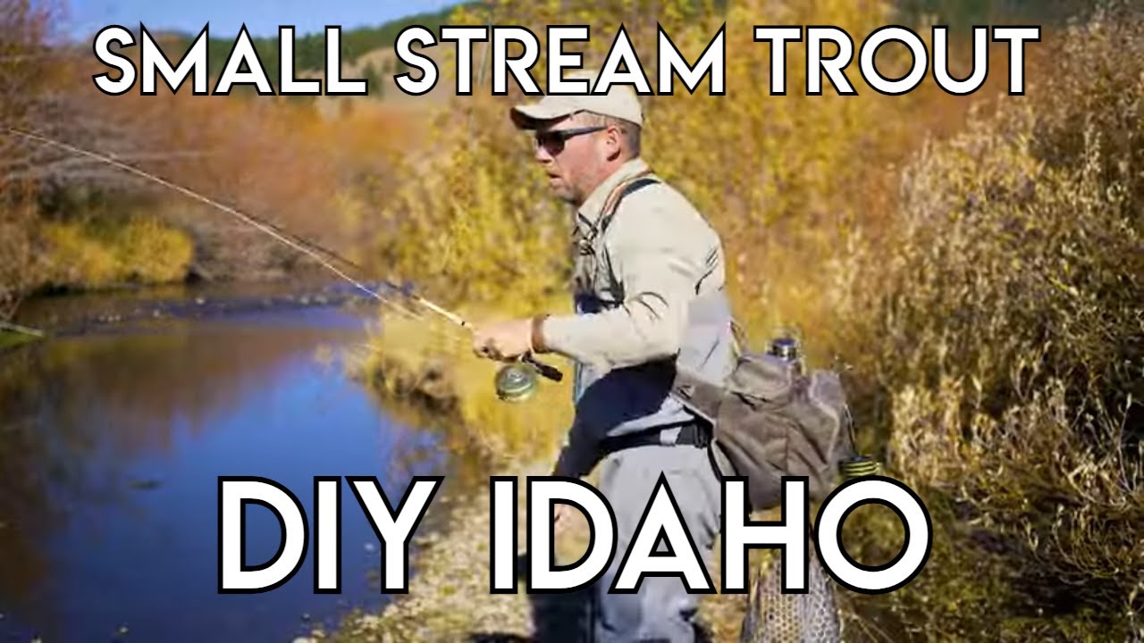 Small Stream Trout Fishing - Do-It-Yourself Idaho - The New Fly Fisher
