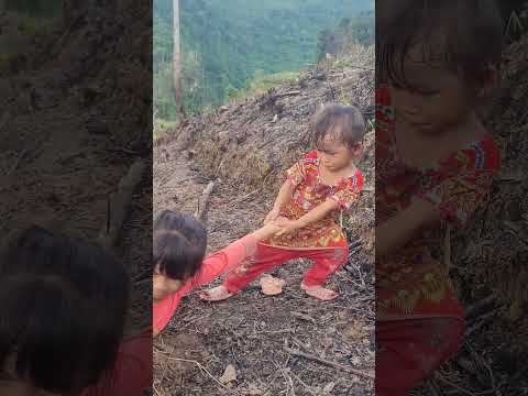 no fatherđưa con đi làm nương lương dốc đứa bé bị rơiWorking in the fields, my child lost his salary