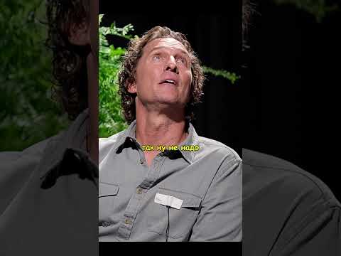 🚿 Чуть не утонули 😮 | Между двумя папоротниками, 2019