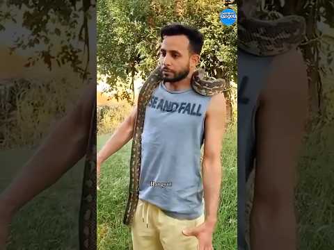 Sanp ko mar daina chahiye ha #ytshort #shortsfeed #shorts #short #trending #viral