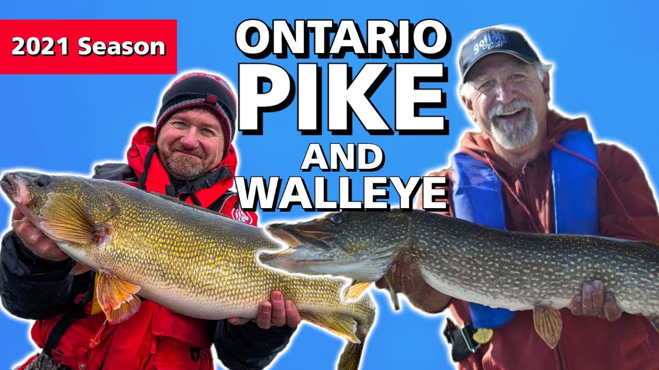 Walleye & Northern Pike: Ontario's One-Two Punch - The Fishing Canada Show