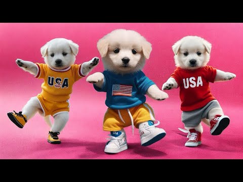 DOG DANCE - DONG SONG