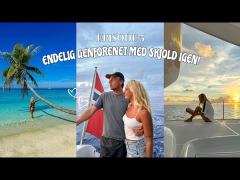 VLOG 5: Min kæreste kommer til båden, dykning & en masse hajer!