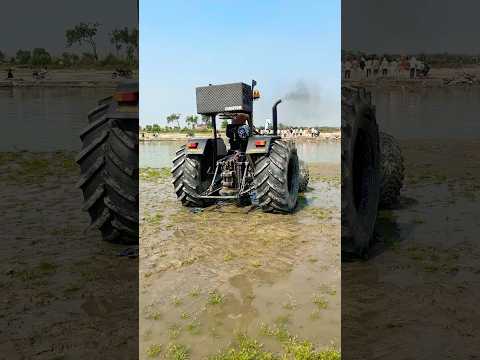 Ganga Jee Par Kar diya Stunt #shortvideo #shorts