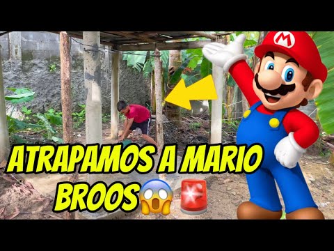 Atrapamos a Mario bros😱😰!Esto es increíble 😱