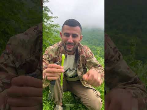 В горах Армении растёт полезная колючка Хылхан 😳⛰️ #армения #travel #горы