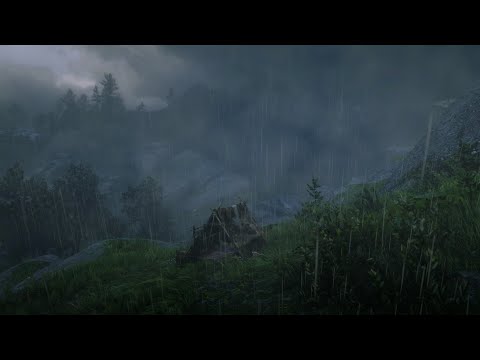 Heavy Thunderstorm Approaches you in the Forest | Heavy Rain Sounds, Strong Wind On Tent At Night