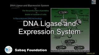 DNA Ligase and Expression System