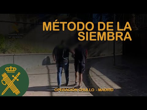 Ocho detenidos por cometer una veintena de hurtos a través del “método de la siembra”